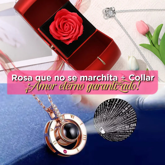 Caja Elegante con Rosa Preservada + Collar Exclusivo: Amor que Dura Hasta 5 Años
