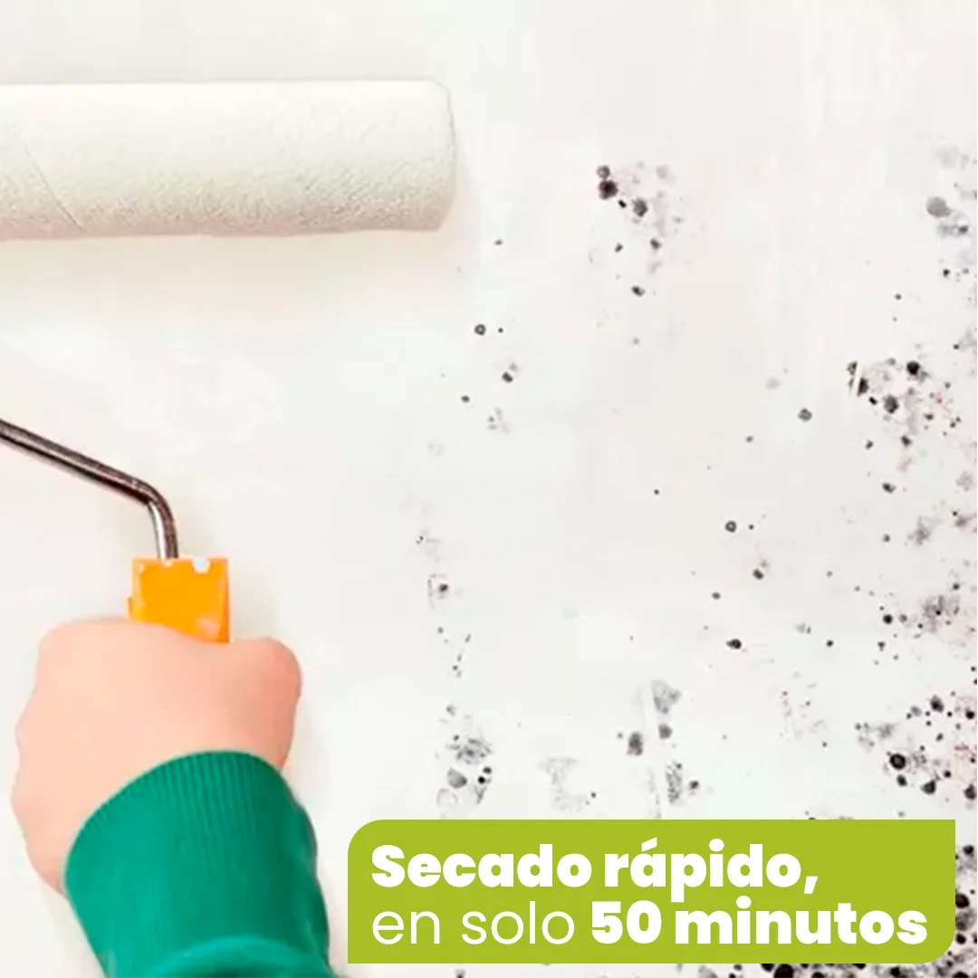 Pintura MohoFree - ¡Protección Imbatible Contra Moho! Secado Rápido, Sin Olores y Durabilidad Garantizada