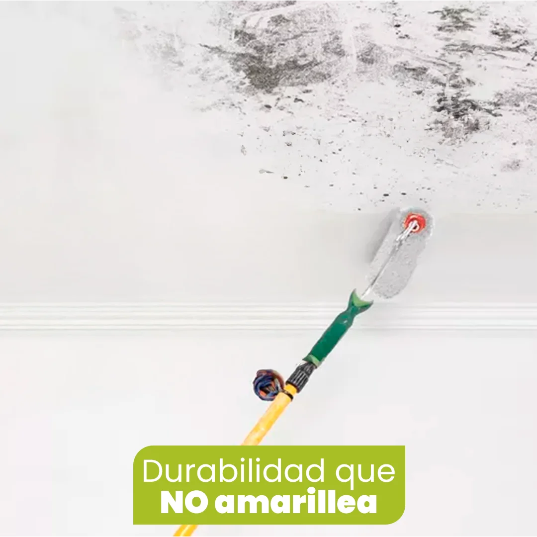 Pintura MohoFree - ¡Protección Imbatible Contra Moho! Secado Rápido, Sin Olores y Durabilidad Garantizada