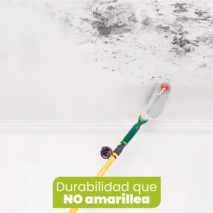 Pintura MohoFree - ¡Protección Imbatible Contra Moho! Secado Rápido, Sin Olores y Durabilidad Garantizada
