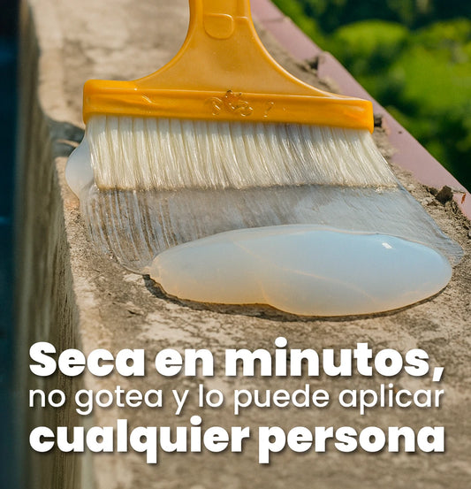 Sellador Impermeable Transparente contra infiltraciones, moho y humedad